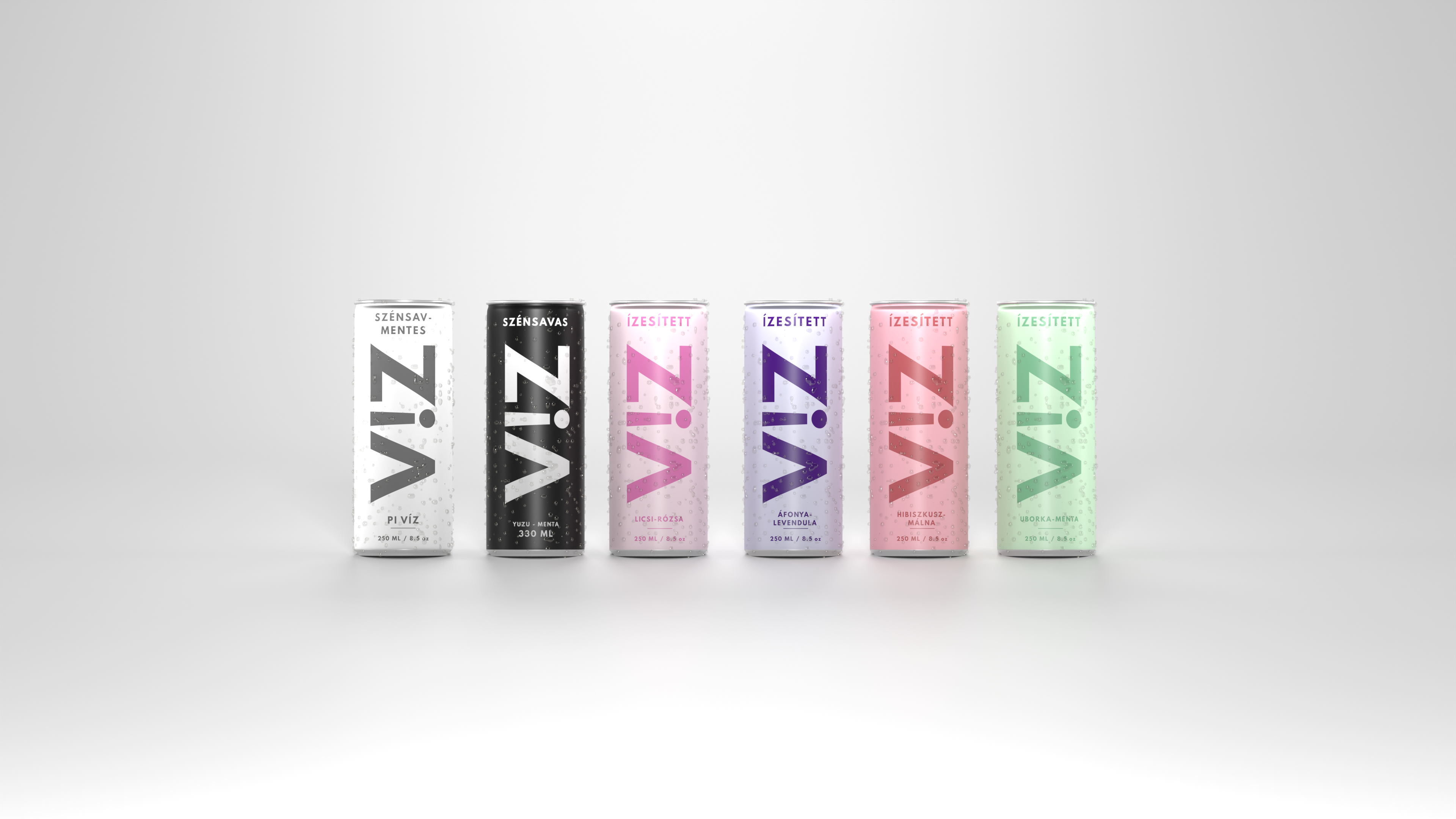 V!Z project preview
